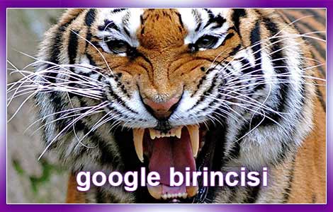 Google SEO