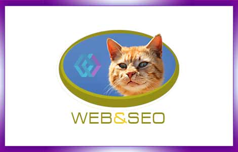 Web SEO