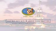 Web SEO